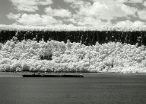 DSCN2555 copy  The Palisades Tsunami #2 : Landscapes, Water, Infrared, NY, 2-Stars